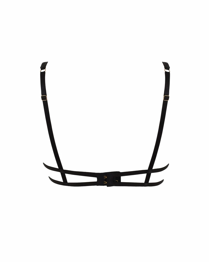 Bluebella Audrey Bra Black 4 Bluebella Audrey Bra Black