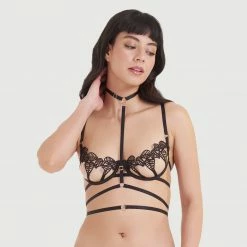 Bluebella Theodora Elastic Harness Black/Gold