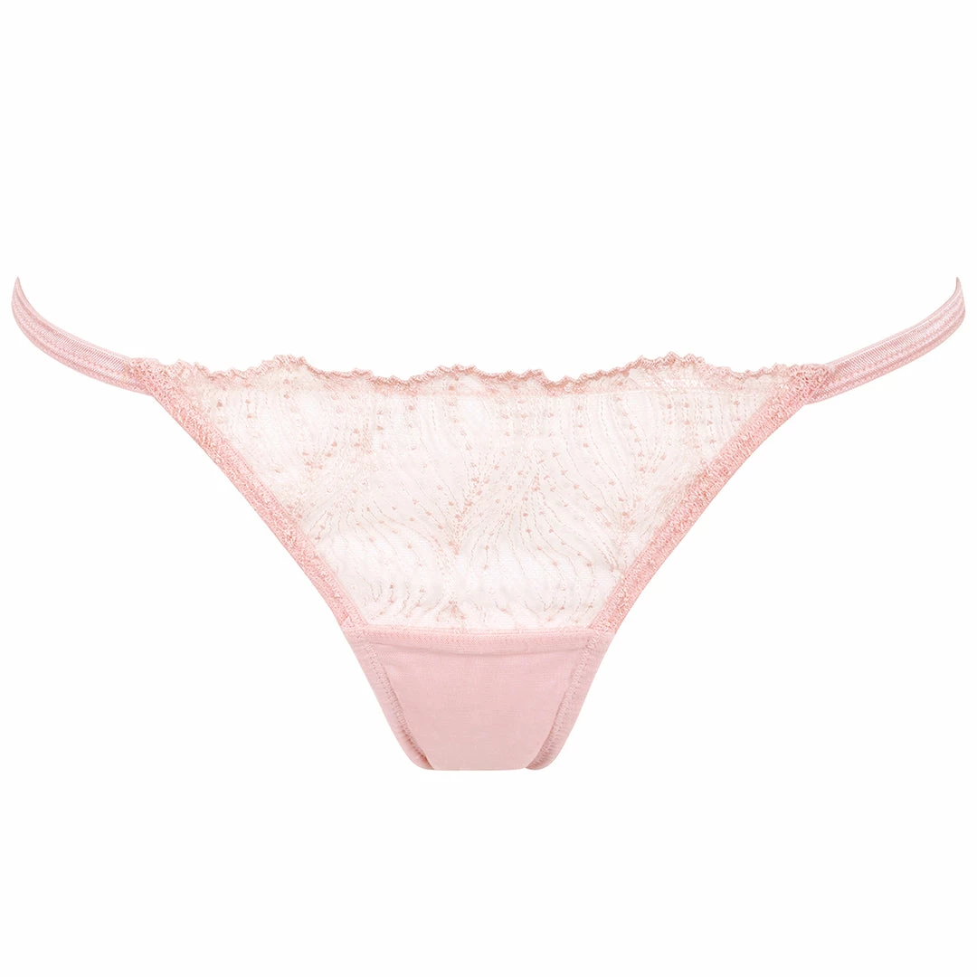 Bluebella Lingerie Irena Brief Pale Pink 3 Bluebella Lingerie Irena Brief Pale Pink