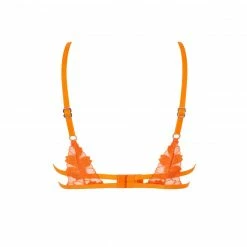 Bluebella Colette Bra Orange Peel