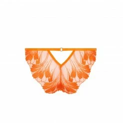 Bluebella Colette Brief Orange Peel