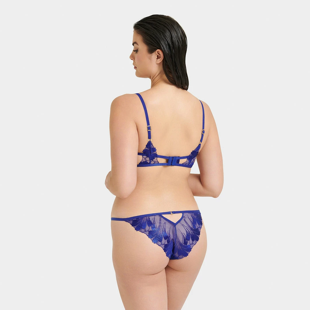 Bluebella Lingerie Colette Brief Surf The Web Blue 6 Bluebella Lingerie Colette Brief Surf The Web Blue
