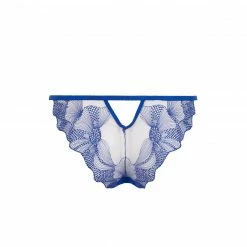 Bluebella Lingerie Adeline Brief Sheer/Surf The Web Blue