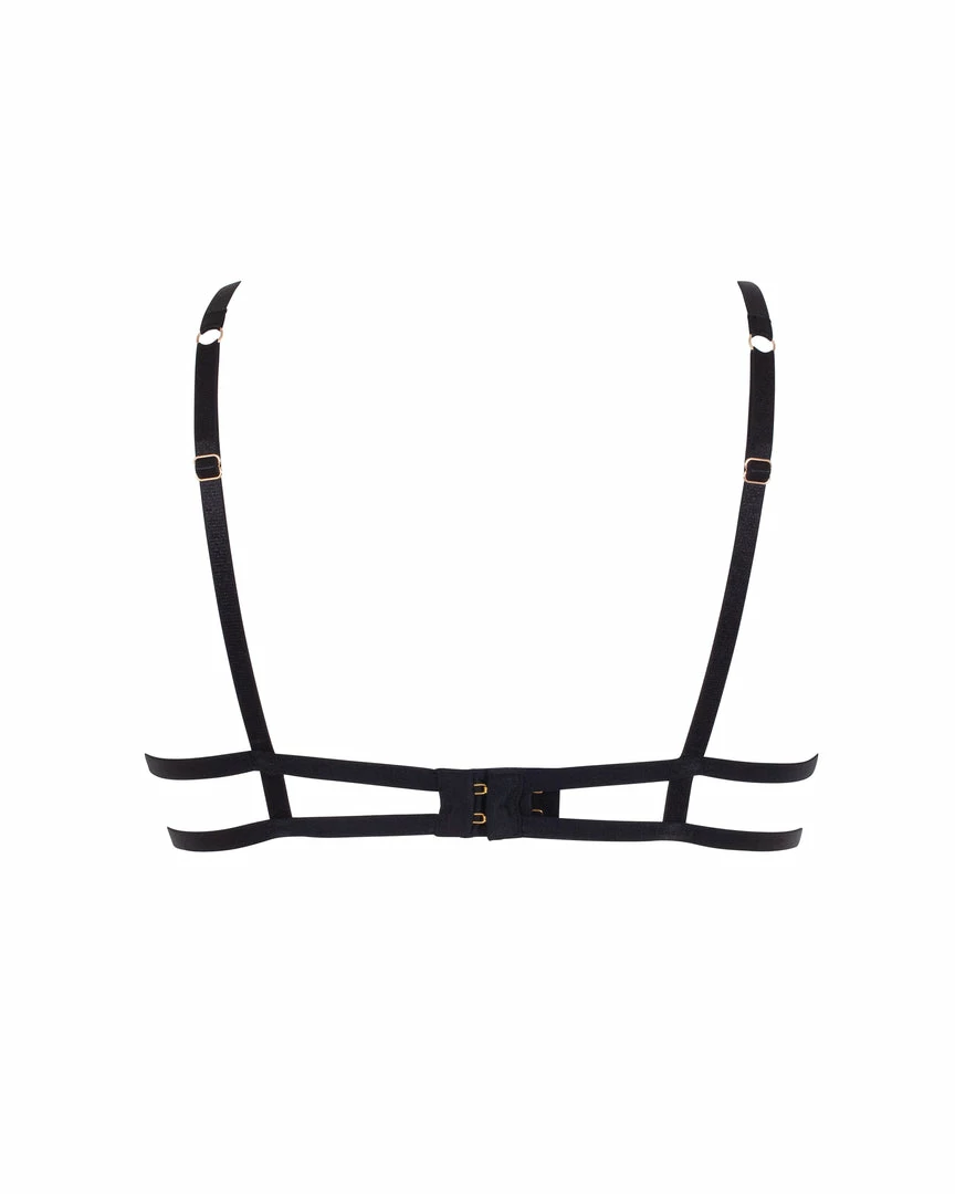 Bluebella Aria Bra Black 4 Bluebella Aria Bra Black