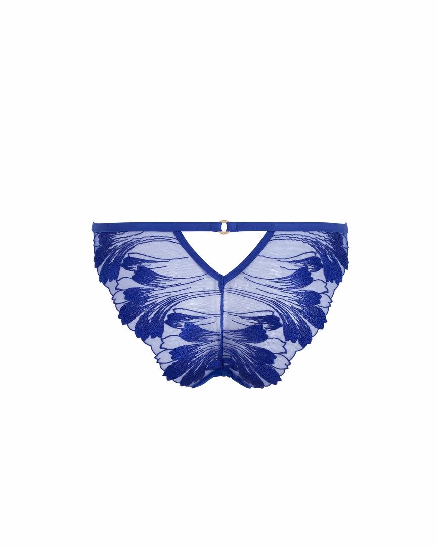 Bluebella Lingerie Colette Brief Surf The Web Blue 4 Bluebella Lingerie Colette Brief Surf The Web Blue